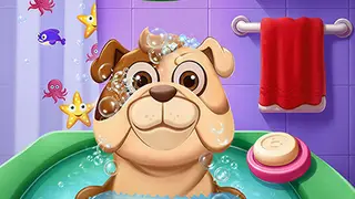 Play Animal Daycare Game